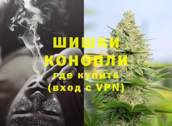 стаф Каменск-Шахтинский